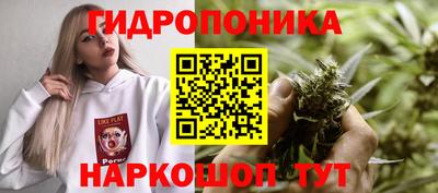 ALPHA-PVP Лесосибирск