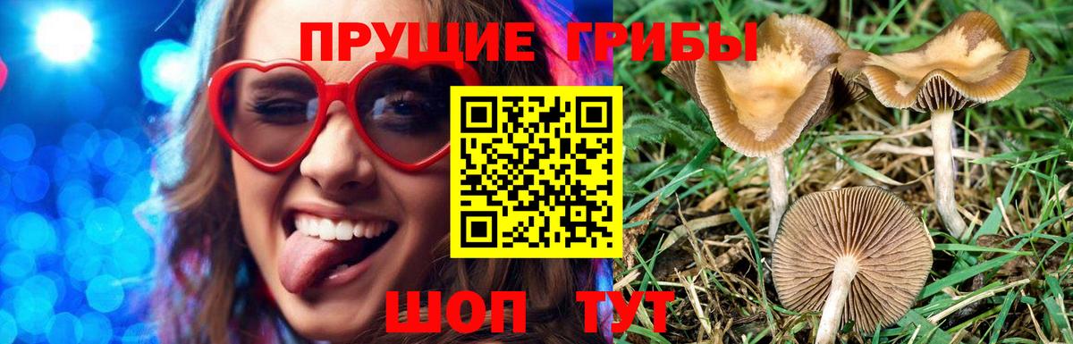 Ялуторовск  Псилоцибиновые грибы GOLDEN TEACHER  закладка  Вход с VPN 