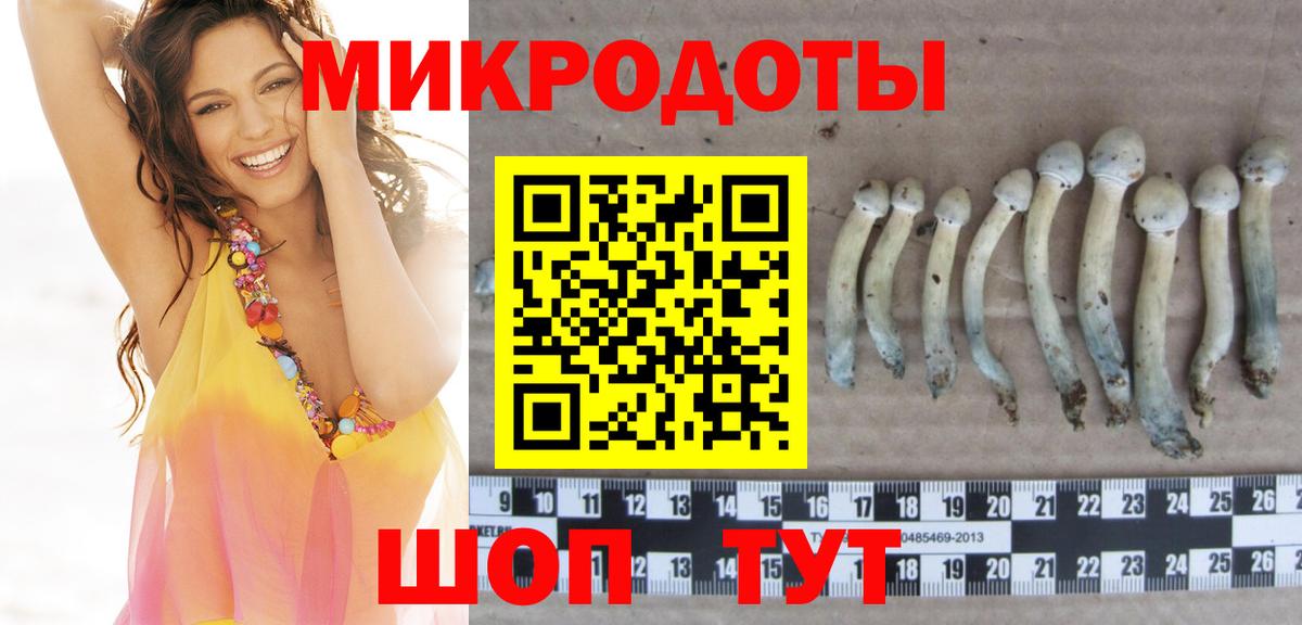 Псилоцибиновые грибы мицелий Ялуторовск